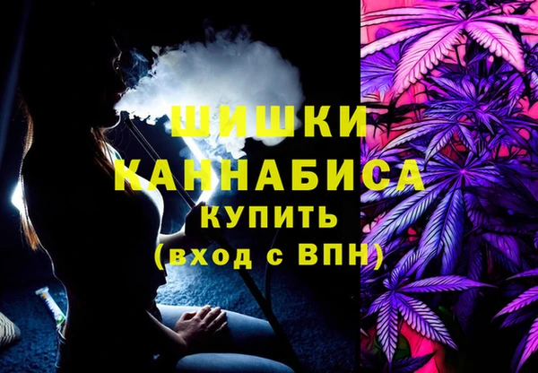 2c-b Новозыбков