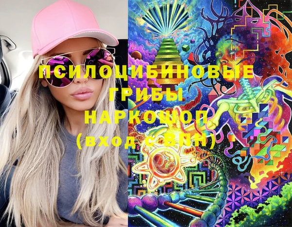 2c-b Новозыбков