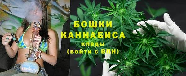 2c-b Новозыбков