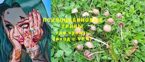 мдпв Няндома