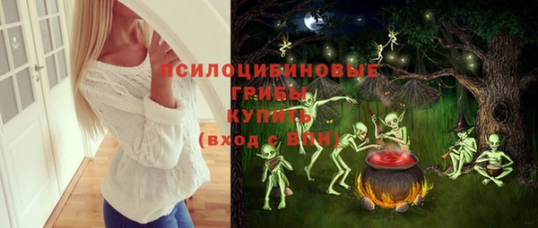 прущие грибы Беслан