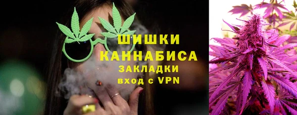 2c-b Новозыбков